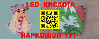 молекула духа Шелехов