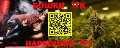 молекула духа Шелехов