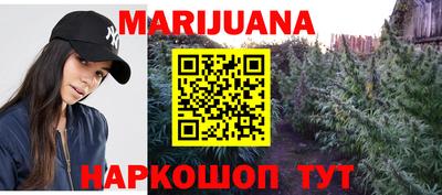 молекула духа Шелехов